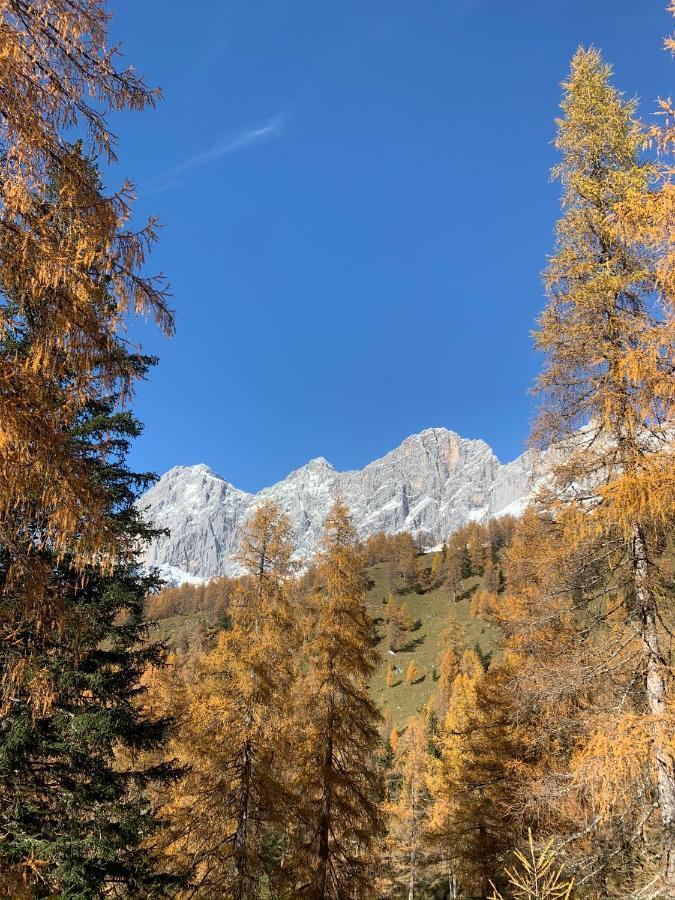 Hotel-Appartement Hochkönig Ramsau am Dachstein Buitenkant foto